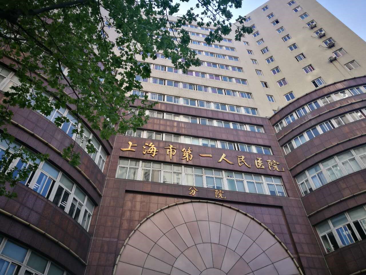 上海市第一人民医院分院服务项目